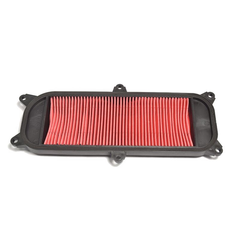 Athena 2003-2004 KYMCO 4T 250 Air Filter - S410210200078