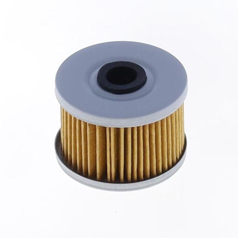 Athena 2005-2008 Beta RR 450 4T Oil Filter - FFC022