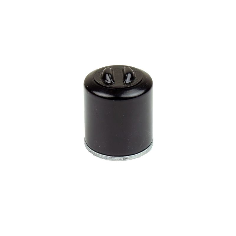 Athena 2005-2021 Polaris 200 Oil Filter - FFP002