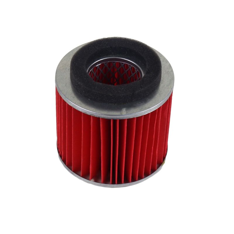 Athena 2006-2009 Yamaha 125 Air Filter - S410485200035