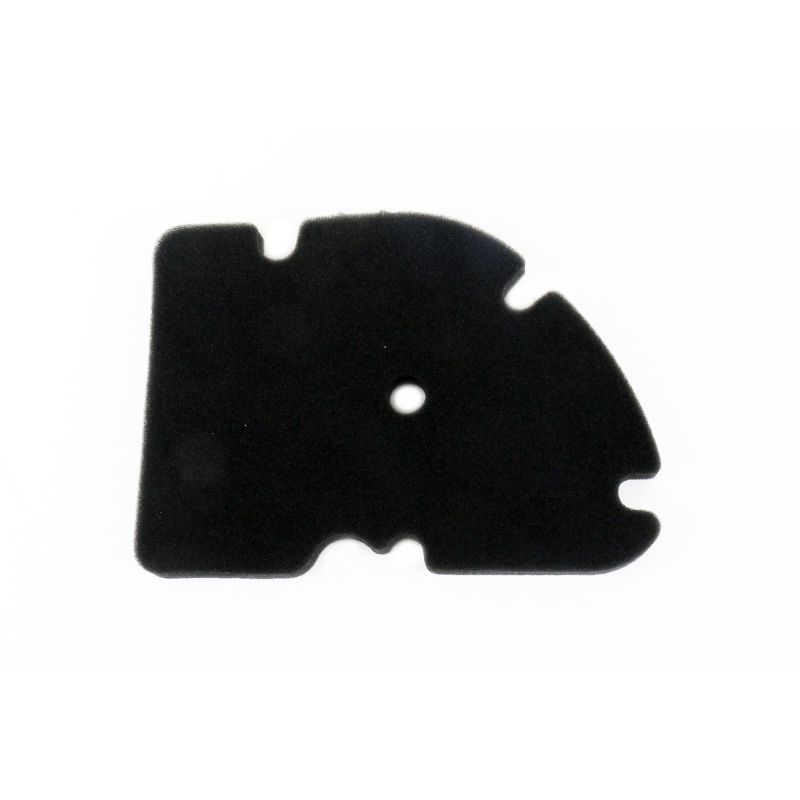 Athena 2006-2010 Gilera Gilera Quad 250 Air Filter - S410480200017