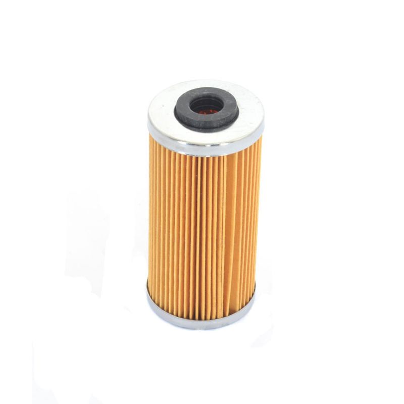 Athena 2009-2010 BMW G 450 X 450 Oil Filter - FFC047
