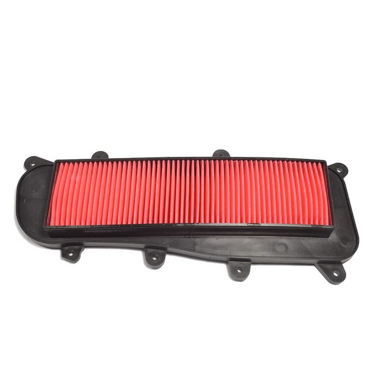 Athena 2010-2010 KYMCO GTi 125 Air Filter - S410210200079