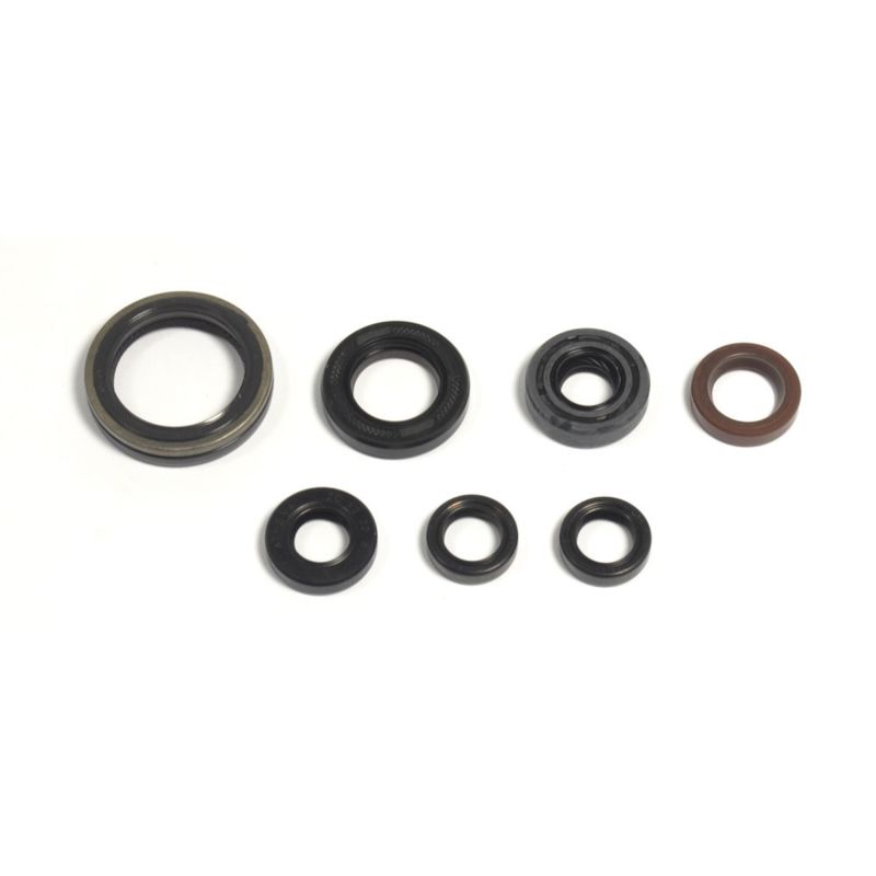 Athena 2013-2015 Gas Gas EC F 300 Engine Oil Seal Kit - P400485400039