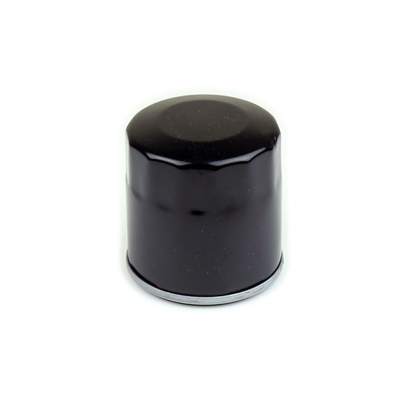 Athena 2013-2018 Polaris TRAIL 330 BOSS Oil Filter - FFP026