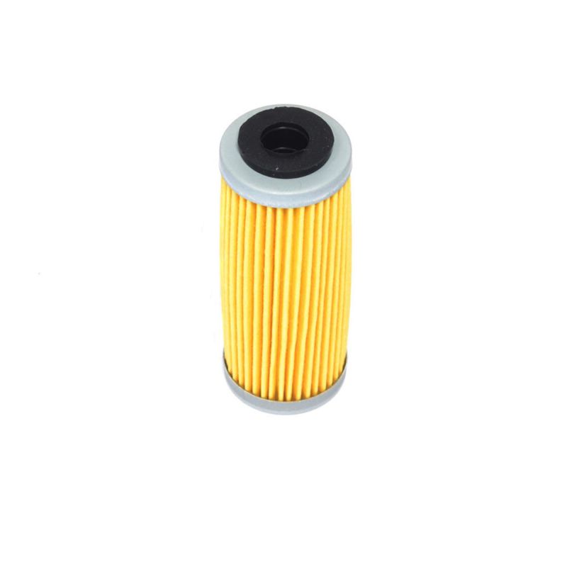 Athena 2021-2024 Gas Gas EC 250 F Oil Filter - FFC044