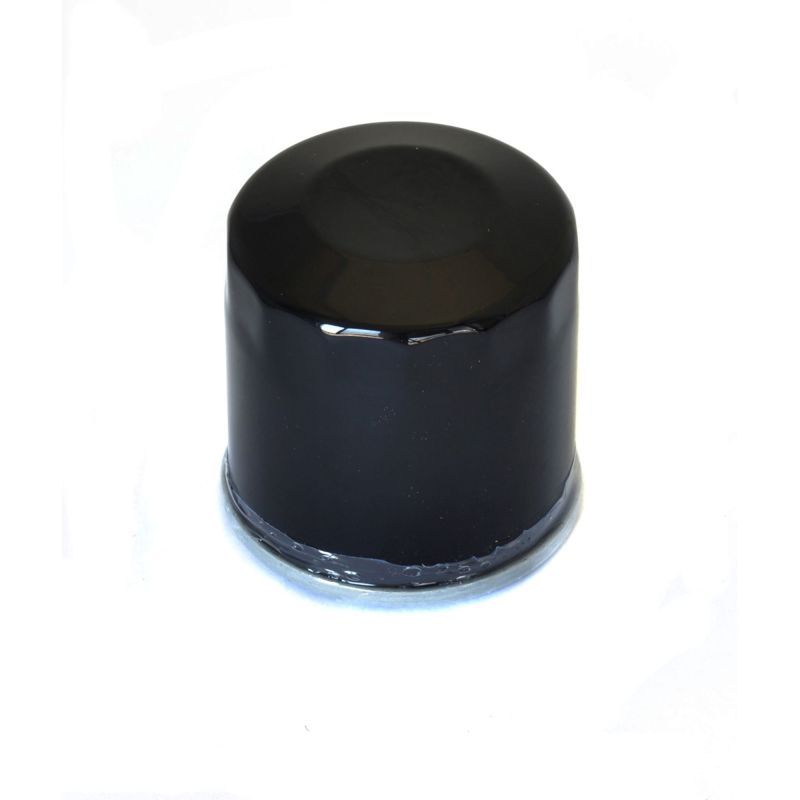 Athena 2023-2023 Honda XL Transalp 750 Oil Filter - FFP004