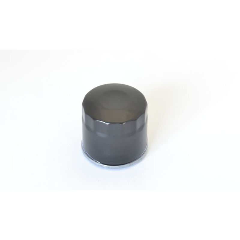 Athena 2023-2023 Suzuki DL V-Strom De 800 Oil Filter - FFP009