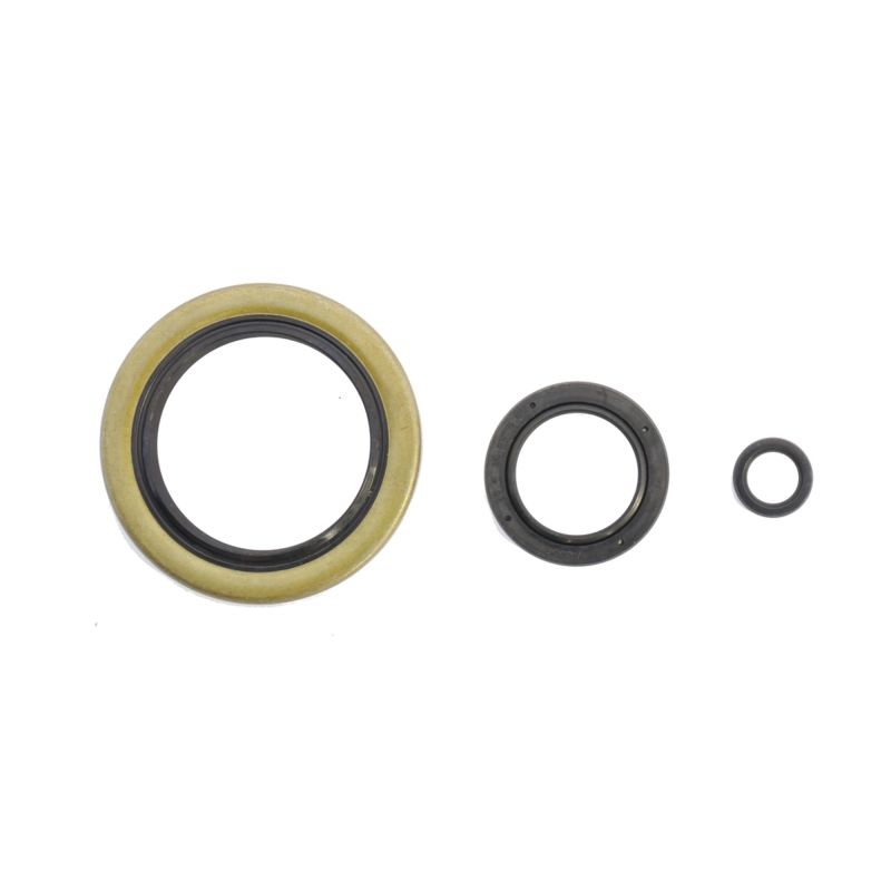Athena Harley-Davidson Engine Oil Seal Kit - P400195400899