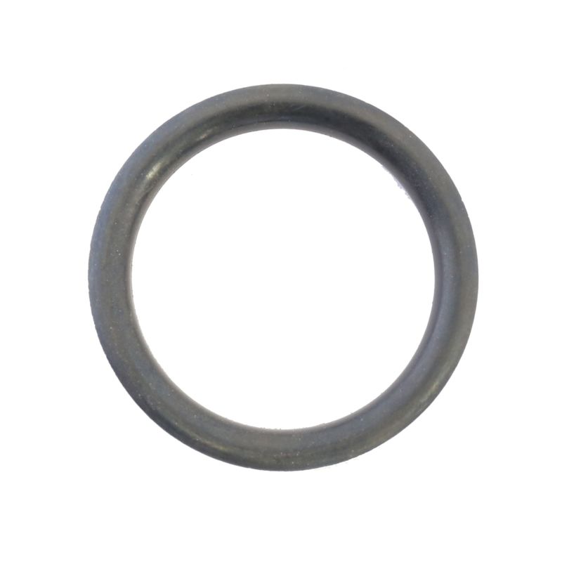 Athena Harley-Davidson Sportsters Fuel Cap O-Ring - Set of 10 - S410195138001