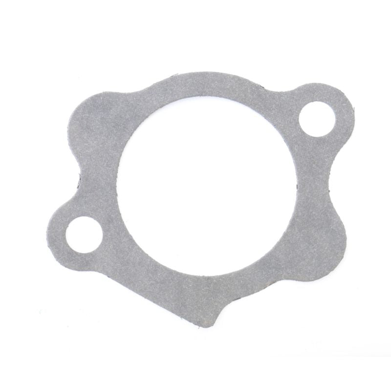 Athena Harley-Davidson Sportsters Starter Mount Gasket - Set of 10 - S410195021001