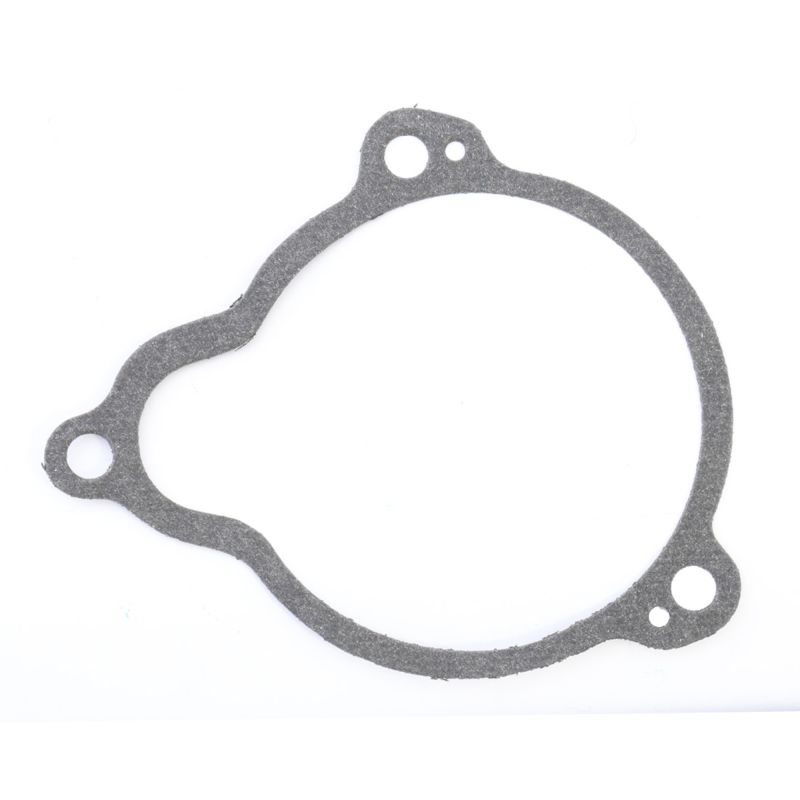 Athena Harley-Davidson Starter Drive Cover - Set of 10 - S410195017010