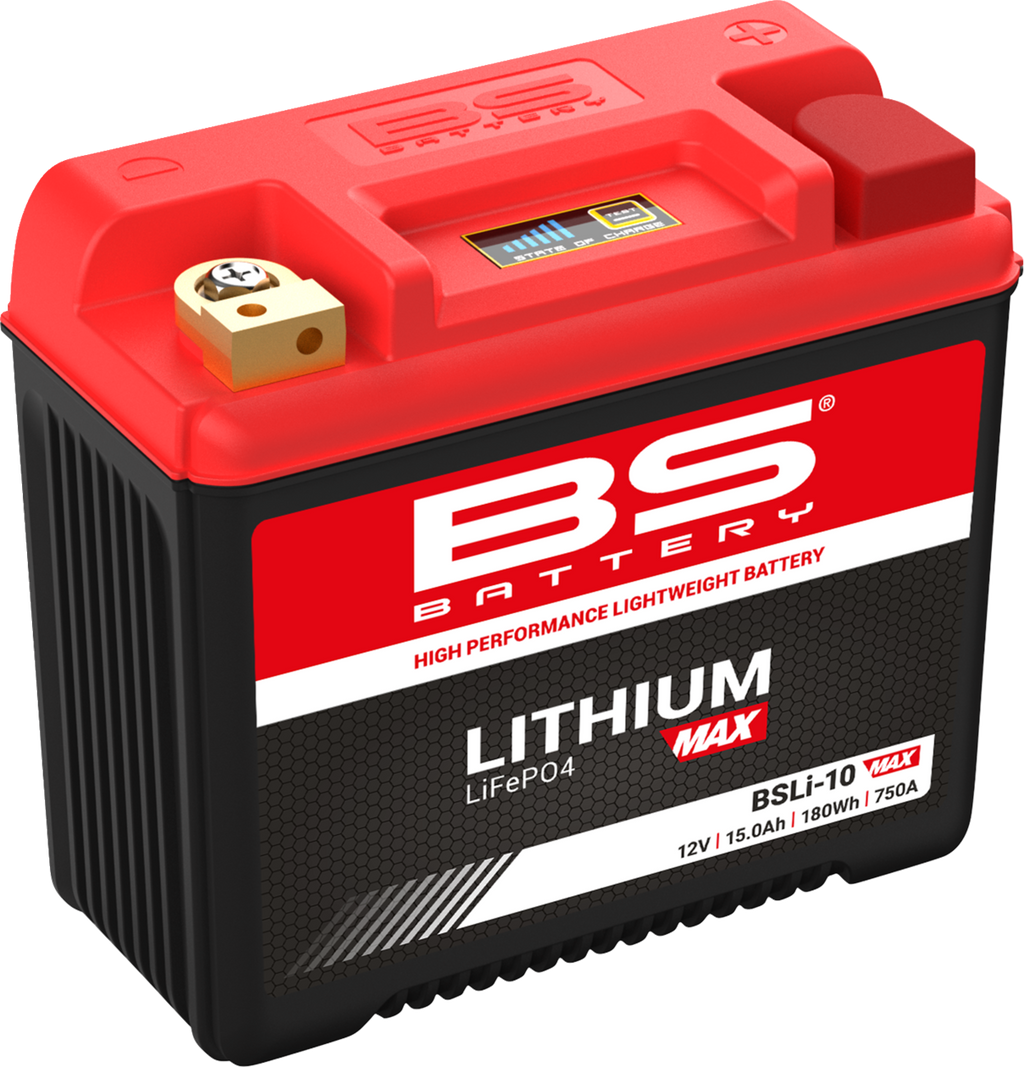 BS BATTERY Lithium Max LiFePO4 Battery