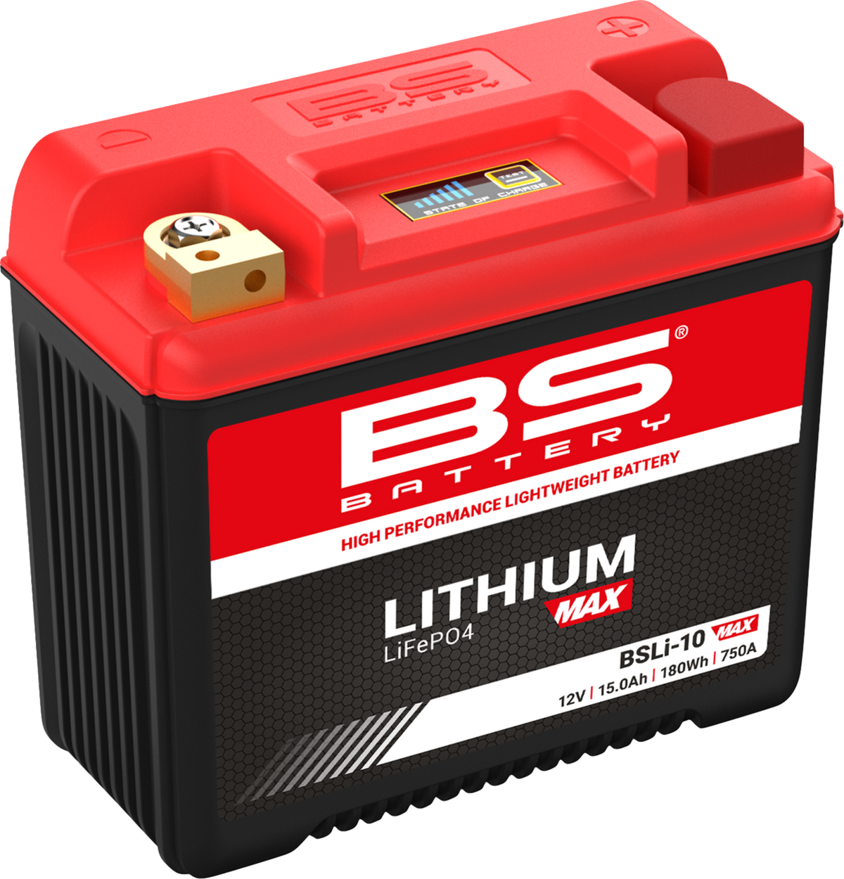 BS BATTERY Lithium Max LiFePO4 Battery