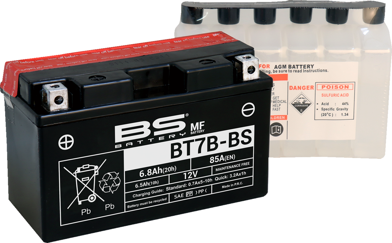 BS BATTERY Maintenance-Free Battery