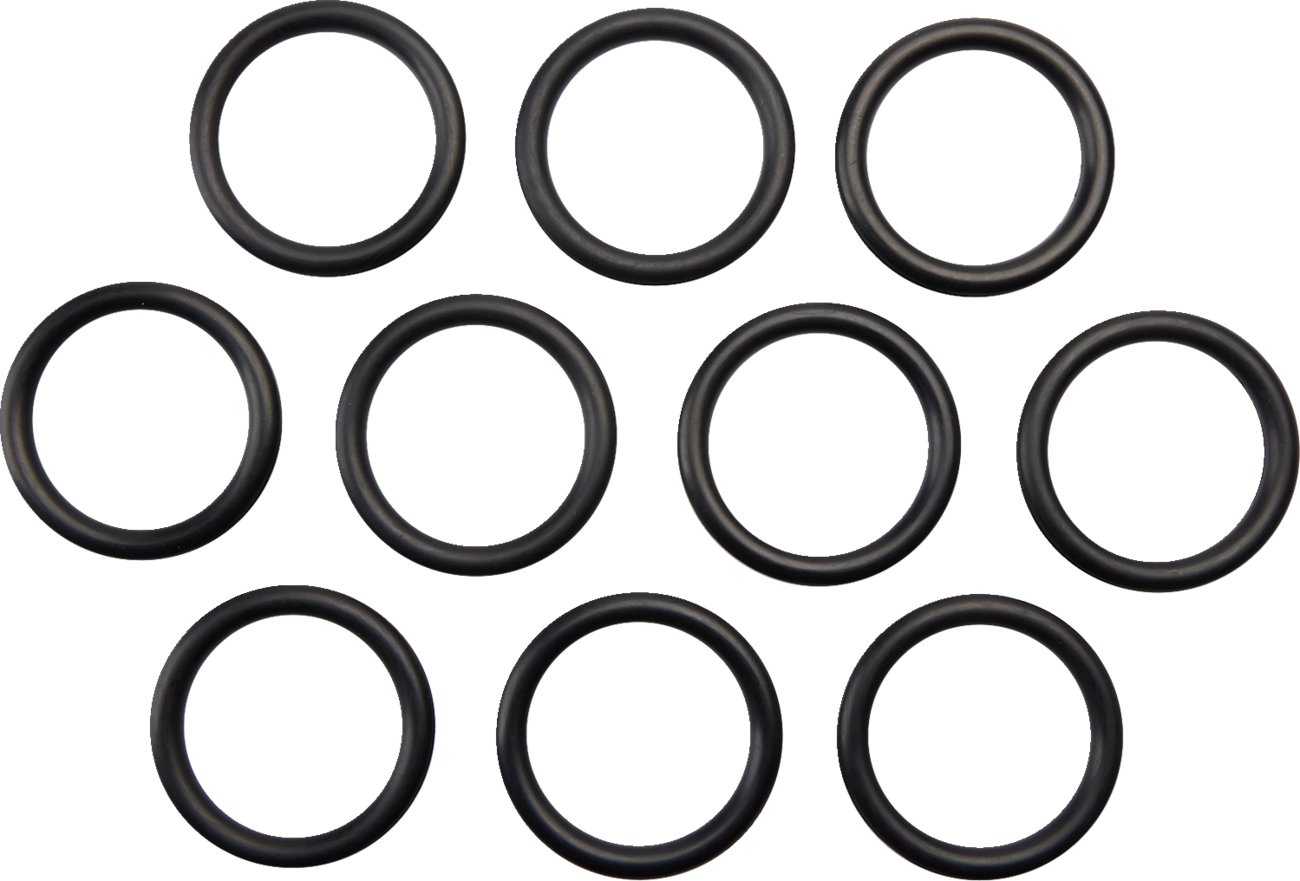JAMES GASKET Gas Cap O-Ring - DS-174515