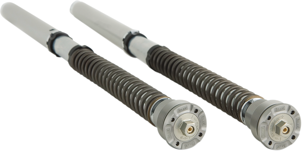 OHLINS FGK Road/Track 30 mm Front Fork Cartridge Kit