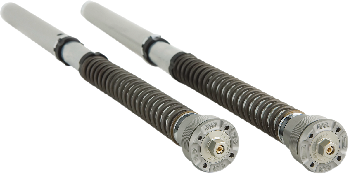 OHLINS FGK Road/Track 30 mm Front Fork Cartridge Kit