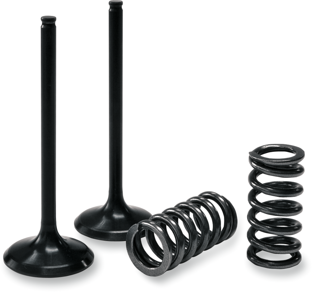 PROX Valve and Spring Kit