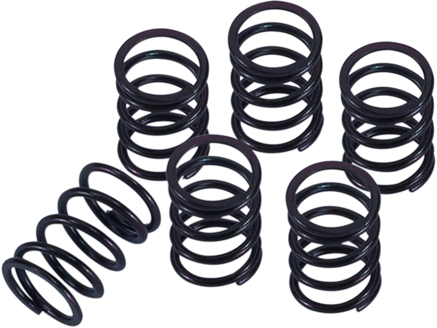 BARNETT Clutch Spring Kit - Honda 1131-3000