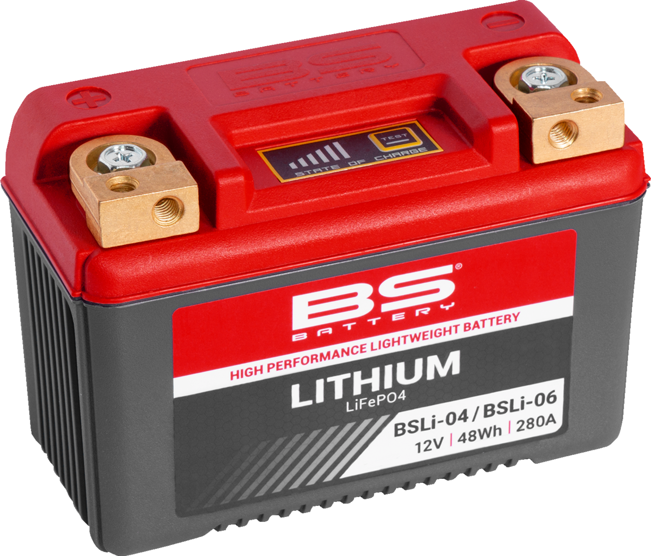BS BATTERY Lithium LiFePO4 Battery