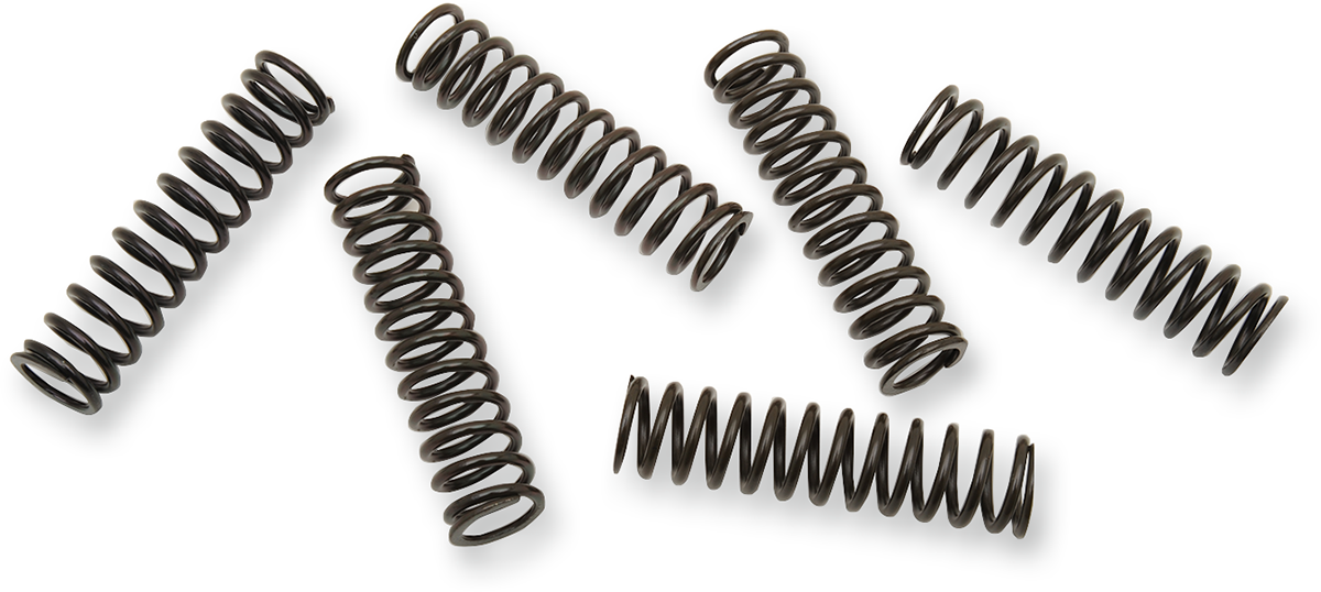 BARNETT Clutch Springs - 1131-0634