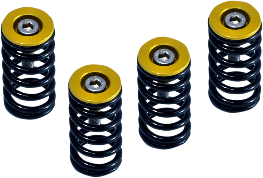 BARNETT Clutch Springs - 1131-1833