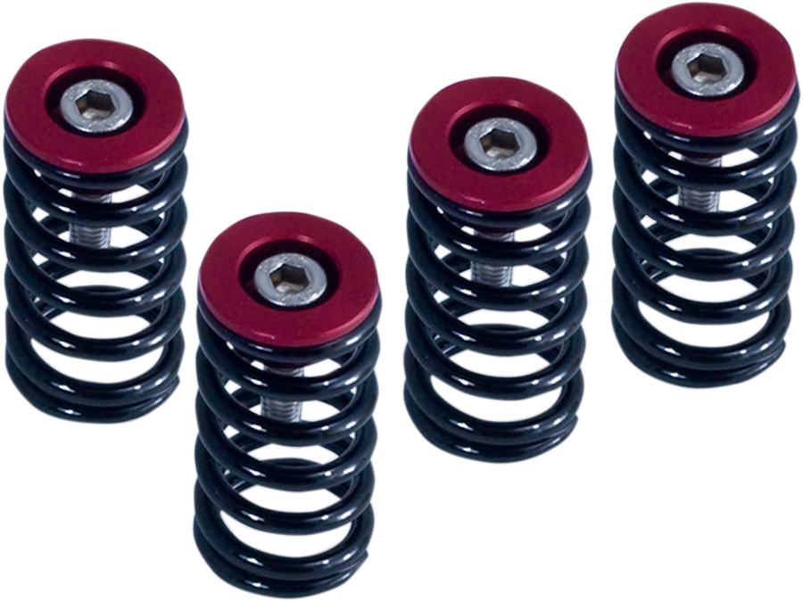 BARNETT Clutch Springs - 1131-1834