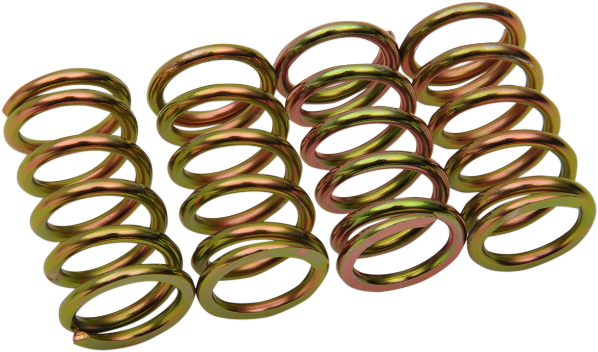 BARNETT Clutch Springs - Honda/KTM/Suzuki 2012-307