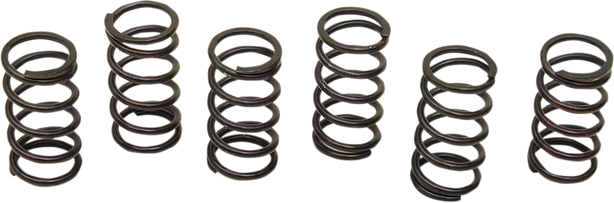 BARNETT Clutch Springs - Kawasaki/Suzuki MT-51-6