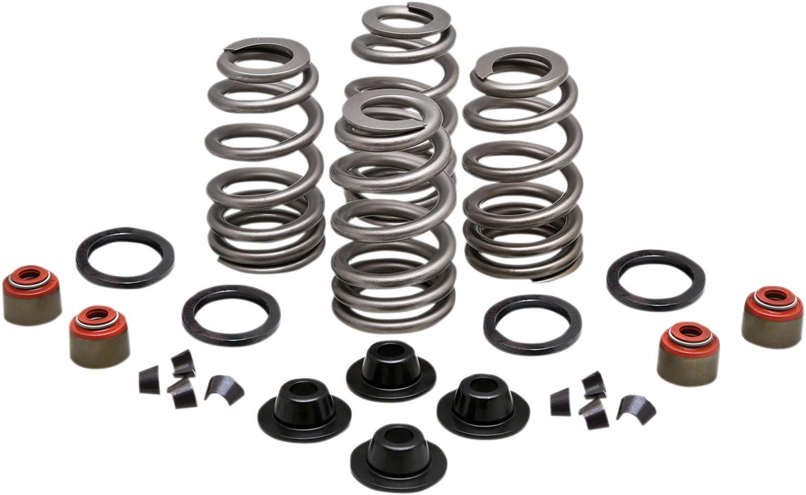 KIBBLEWHITE Beehive Valve™ Spring Kit