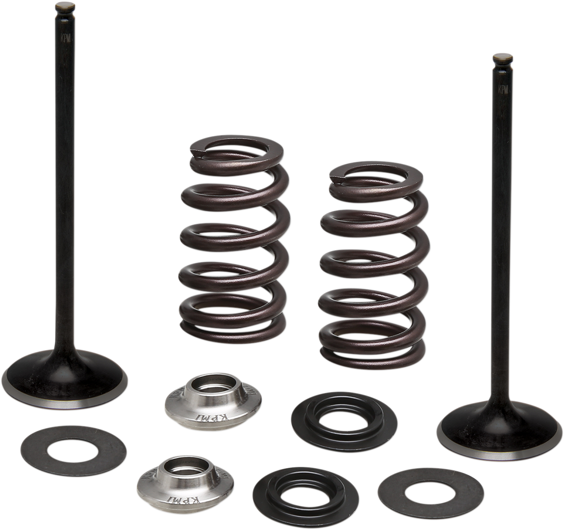 KIBBLEWHITE Intake Stainless Conversion Valve and Spring Kit