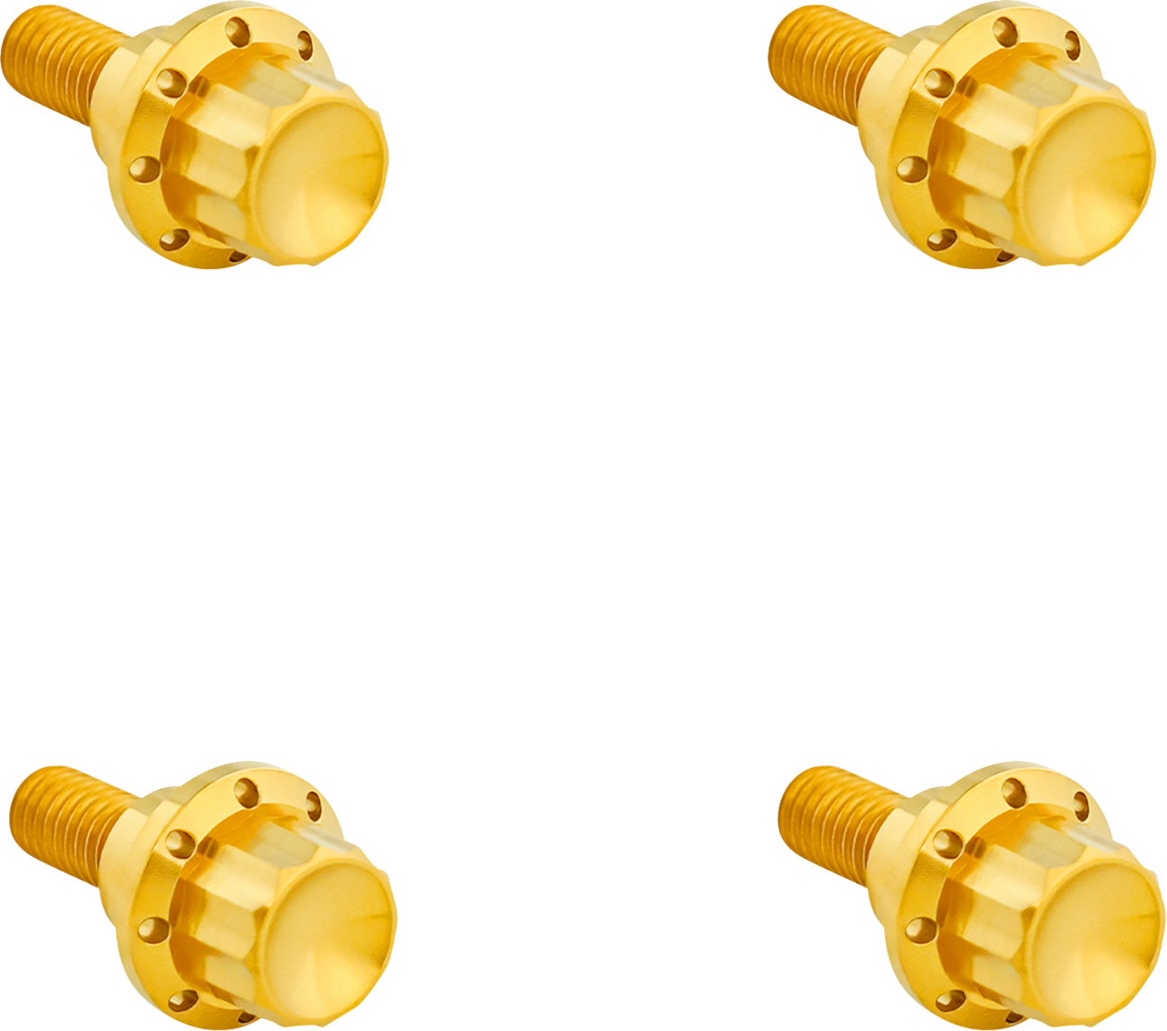 ARLEN NESS Bolt Kit - Windshield / 12-Point / Titanium / Gold 2401-1783