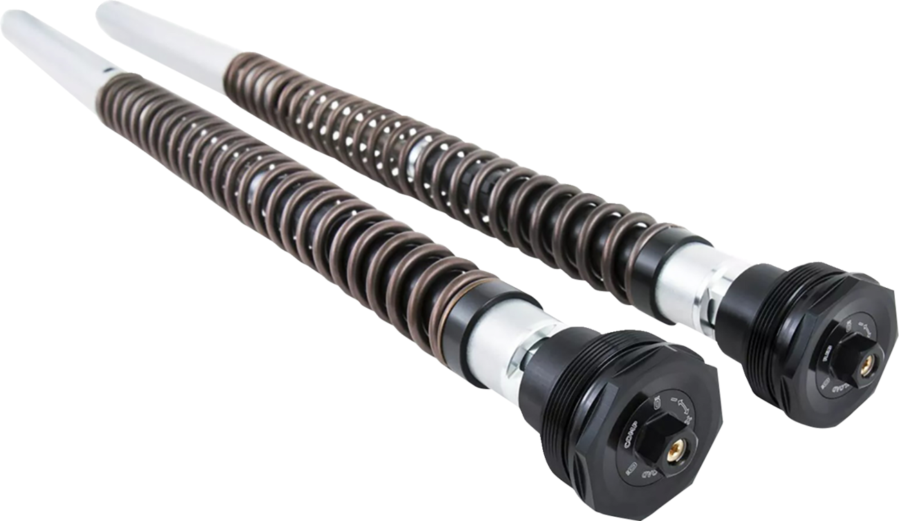 OHLINS FKS Cartridge Kit