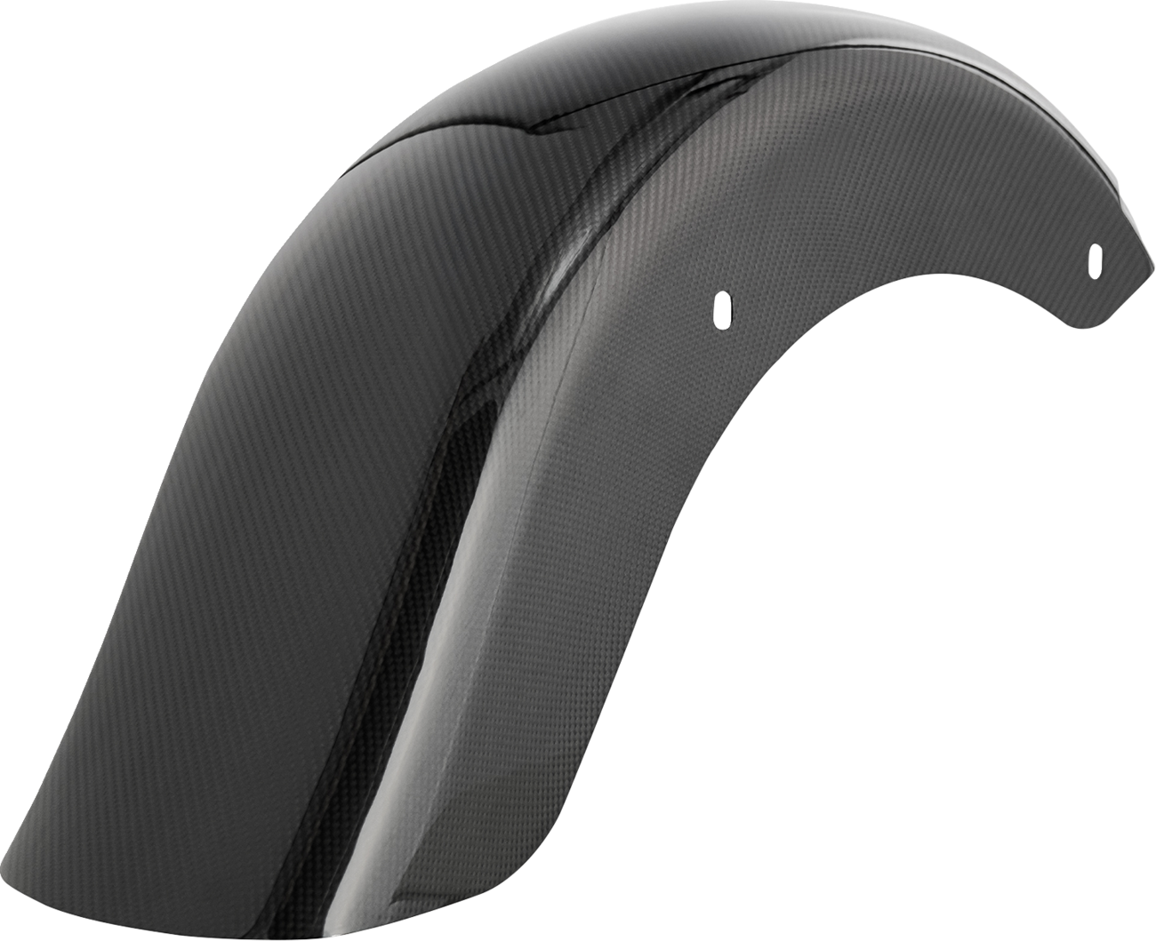 ARLEN NESS Rear Fender - Custom Lighting / Carbon Fiber / Touring 1401-1118