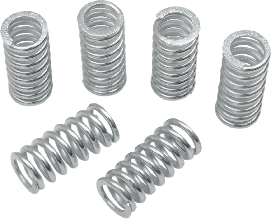 BELT DRIVES LTD. Clutch Springs - 6 Pack DS-360156