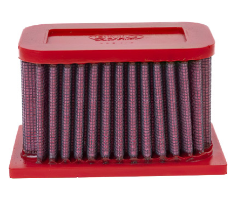 BMC 2000-2007 BMW G 650 GS Sertao Replacement Air Filter - FM363/10