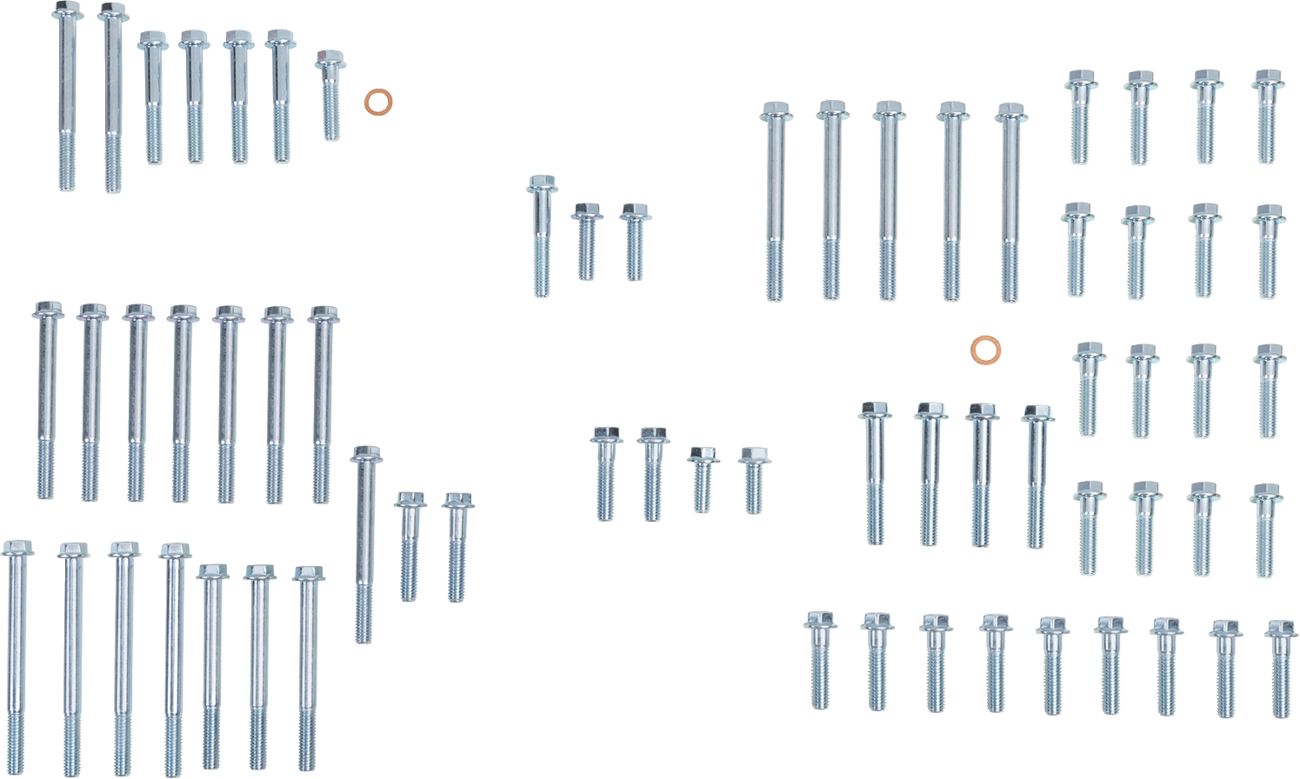 BOLT Engine Fastener Kit - '15-'26 Beta 350-500 RR/RS/RR-S 2401-1646