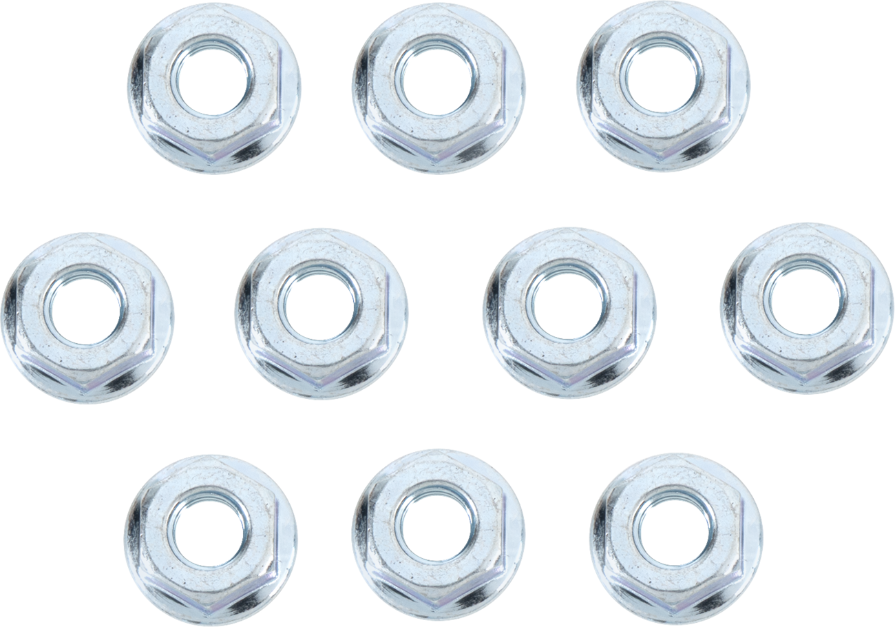 BOLT Nuts - Flange / M6 / 10-Pack 2404-0445