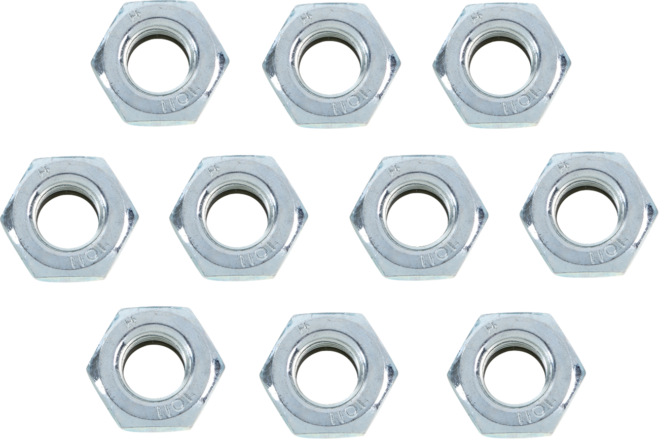 BOLT Nuts - Metric / Nylock / Hex / M10 x 1.25 / 10 Pack 2404-0686