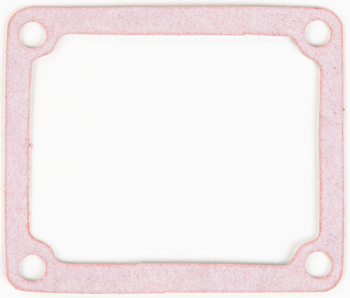 BOYESEN Rad Valve Gasket - RG-31
