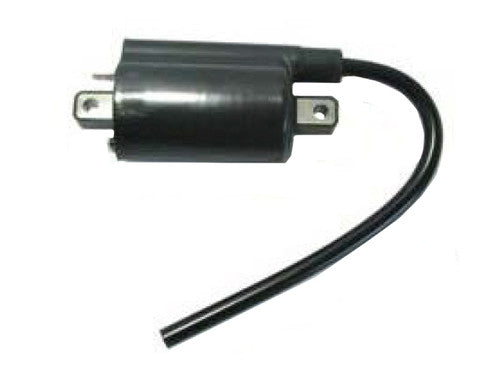 BRONCO ATV Ignition Coil - AT-01900