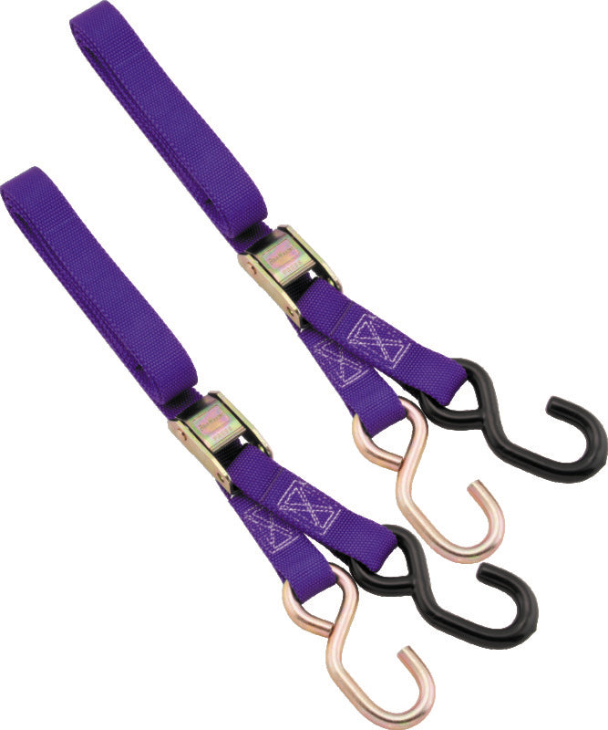 BikeMaster 1in Tiedown - Purple - 100512