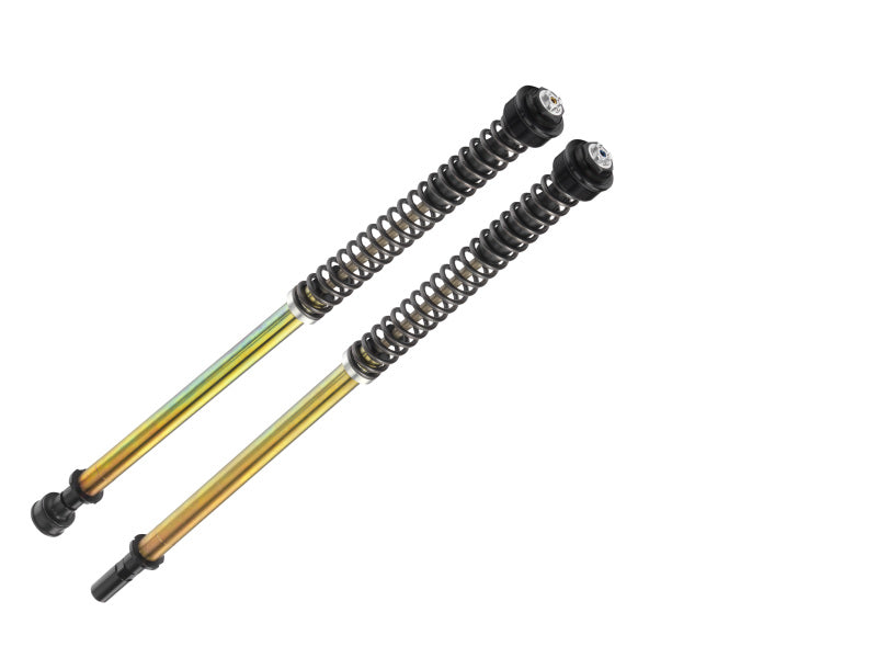 Bitubo Suspension Bitubo JBHV1 Pressurized Cartridge Adj.: Spring Preload, Rebound, Comp., w/o Oil, Red Ring - H0122JBH01V1WO