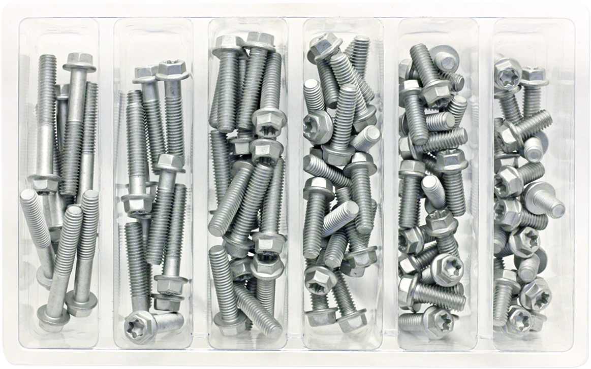 Bolt Assortment - European/Flange 2402-0236