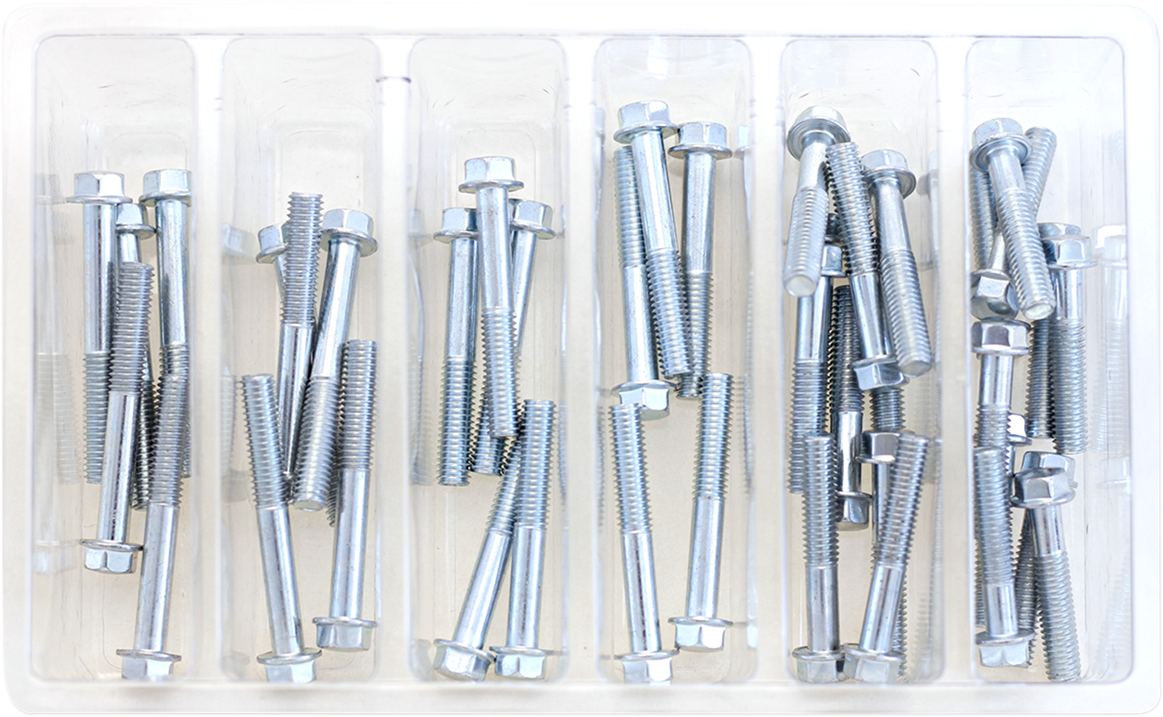 Bolt Assortment - Hex/Flange 2402-0230