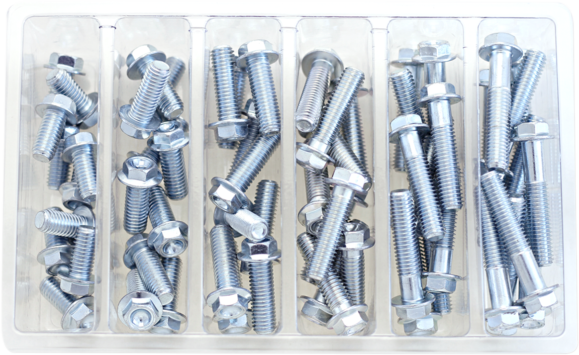 Bolt Assortment - Hex/Flange 2402-0233