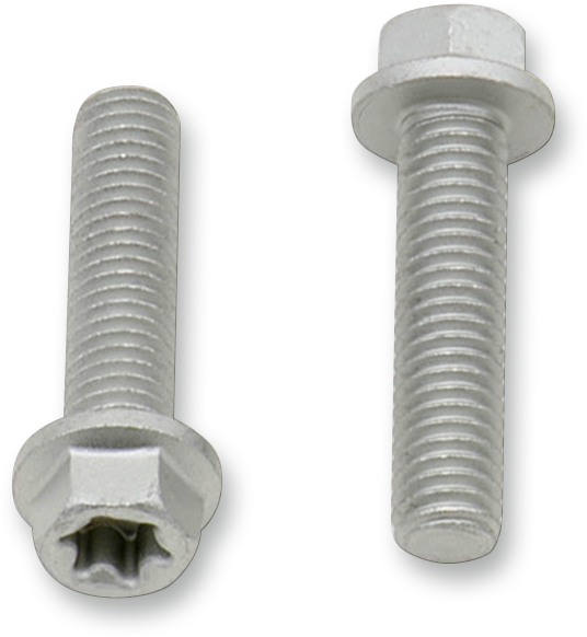 Bolt - European / M6 x 25 / 10-Pack 2404-0429