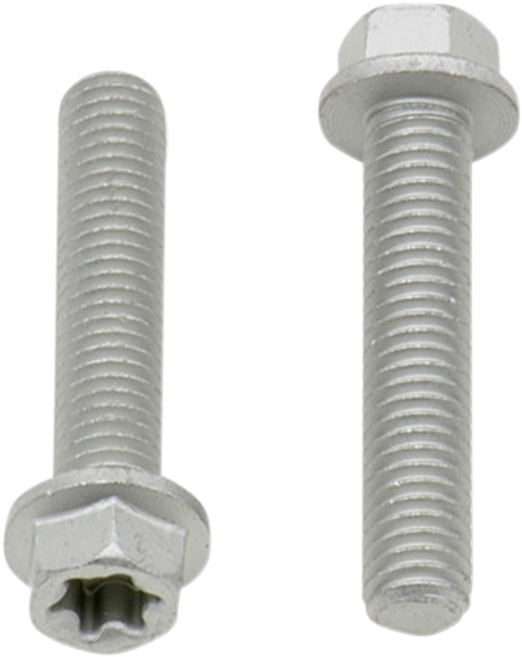 Bolt - European / M6 x 30 / 10-Pack 2404-0430