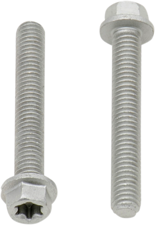 Bolt - European / M6 x 40 / 10-Pack 2404-0431